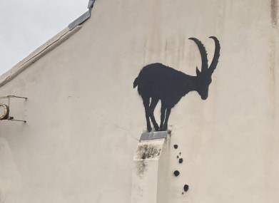 Banksy stencil of a goat on a shallow ledge - close up