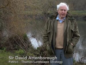 Sir David Attenborough standing on a low bank of the Thames with a caption saying "Patron of the Thames Landscape Strategy"