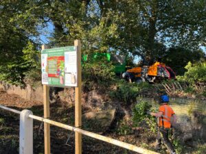 Worker in orange high viz jacket and hard hat clearing shrubbery from the ditch by the Kew Ha-ha. A wood chipper is in the background.