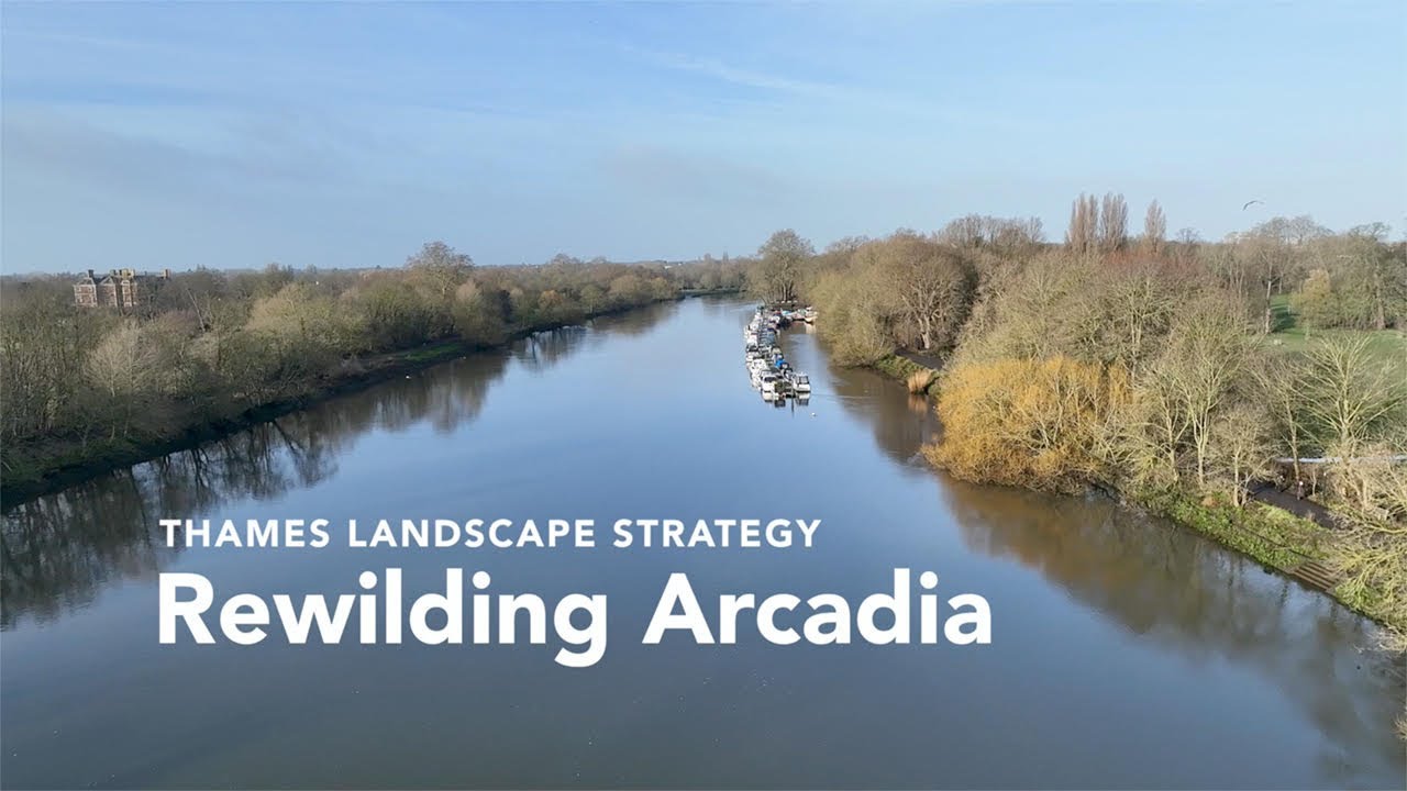 Rewidling Arcadia