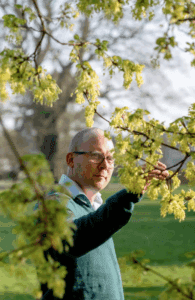 Image is of a man standing among the boughs of a tree. We can see him from waist up. He is casually dressed in a green rugby shirt and is holding one of the tree's branches. The man is wearing glasses and has a saved head. The background of the photo is a blurred view of grass