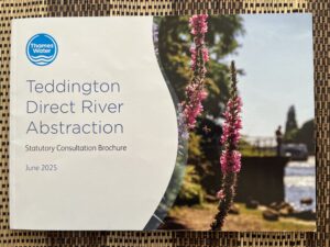 Image shows a photograph of the front cover of Thames Water's Teddington Direct River Abstraction Statutory Consultation Brochure June 2025. The previous text is on the left hand side (blue on white) and an image of tall pink flowers with the river blurred in the background is on the right.