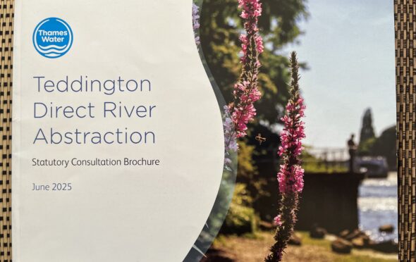 Image shows a photograph of the front cover of Thames Water's Teddington Direct River Abstraction Statutory Consultation Brochure June 2025. The previous text is on the left hand side (blue on white) and an image of tall pink flowers with the river blurred in the background is on the right.