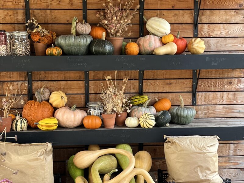 Autumn Produce 2