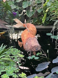 Carp from Kew Garden's Orchid Festival