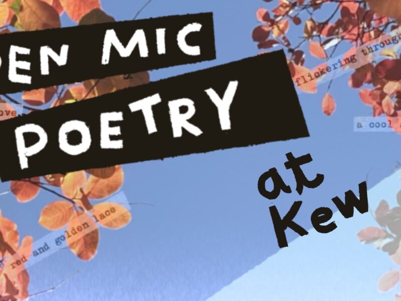 Autumn Poetry Night